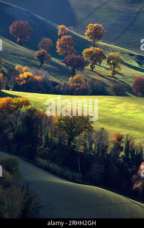 boschi e campi in autunno nel Montefeltro Stockfoto