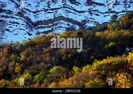 boschi e campi in autunno nel Montefeltro Stockfoto