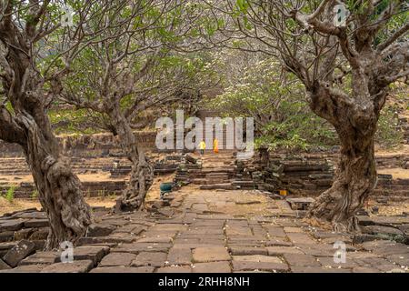 Aufgang zum Bergtempel Wat Phu, Provinz Champasak, Laos, Asien | Weg zum VAT Phou Tempelkomplex, Provinz Champasak, Laos, Asien Stockfoto