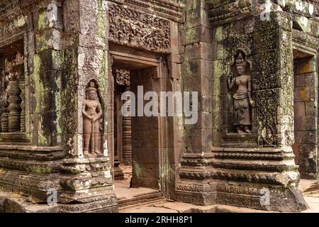 Apsara Reliefs am Heiligtum des Bergtempel Wat Phu, Provinz Champasak, Laos, Asien | geschnitzte Apsaras im Heiligtum von VAT Phou, Provinz Champasak Stockfoto