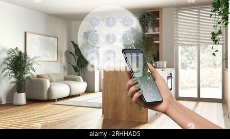 Smart-Home-Technologie-Schnittstelle auf Telefon-App, Augmented Reality, Internet der Dinge, Innenarchitektur, moderne Holzküche und Wohnzimmer, Frau han Stockfoto