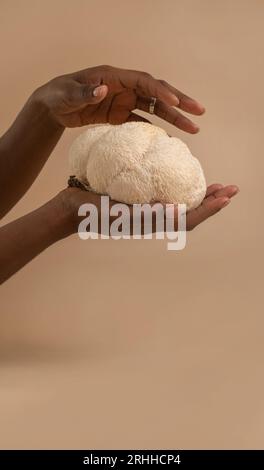 Familienhände mit Löwenmähnenpilzen Stockfoto