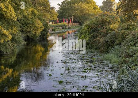 Walthamstow, London, Local Area Photography Stockfoto