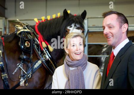 Sophie, Herzogin von Wessex, auf der Shire Horse Society National Show 2019, in ihrer Rolle als Präsidentin der Gesellschaft Stockfoto