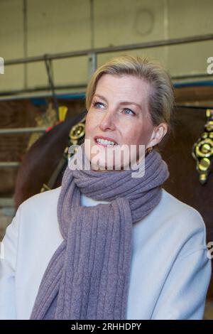 Sophie, Herzogin von Wessex, auf der Shire Horse Society National Show 2019, in ihrer Rolle als Präsidentin der Gesellschaft Stockfoto