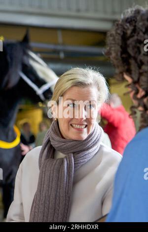 Sophie, Herzogin von Wessex, auf der Shire Horse Society National Show 2019, in ihrer Rolle als Präsidentin der Gesellschaft Stockfoto