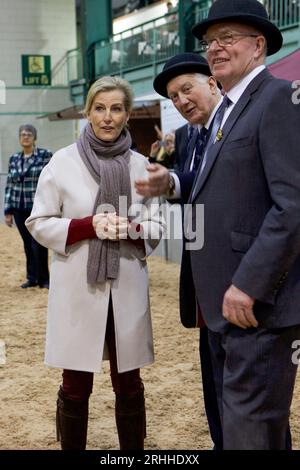 Sophie, Herzogin von Wessex, auf der Shire Horse Society National Show 2019, in ihrer Rolle als Präsidentin der Gesellschaft Stockfoto