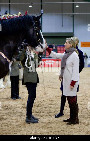 Sophie, Herzogin von Wessex, auf der Shire Horse Society National Show 2019, in ihrer Rolle als Präsidentin der Gesellschaft Stockfoto