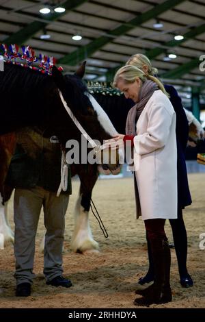 Sophie, Herzogin von Wessex, auf der Shire Horse Society National Show 2019, in ihrer Rolle als Präsidentin der Gesellschaft Stockfoto