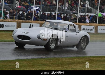 Shaun Lynn, Jaguar E-Type Lightweight, Goodwood 75, The Racing Years, eine kleine, aber indikative Auswahl an einigen der besten Rennwagen, die es gibt Stockfoto