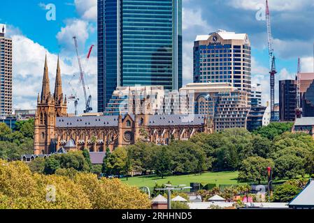 Blick von Potts Point über die Domain in Sydney, Australien, auf den Pyrmont Sandstein gebaut, gotische Neubau St Mary's Cathedral und die Stadt. Stockfoto