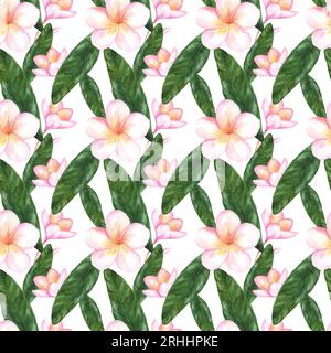 Nahtloses Aquarellmuster mit Plumerieblumen. Tropische Pflanzen und Blumen. Sommermuster für Stoff und Scrapbooking Stockfoto