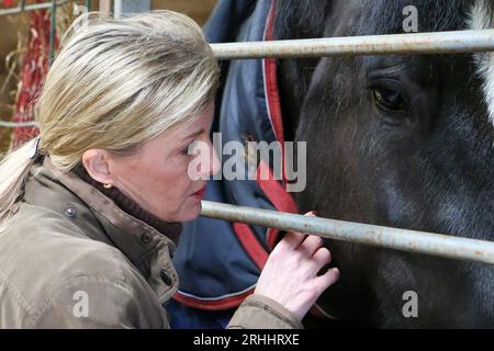 Sophie, Herzogin von Wessex, auf der Shire Horse Society National Show 2022, in ihrer Rolle als Präsidentin der Gesellschaft Stockfoto