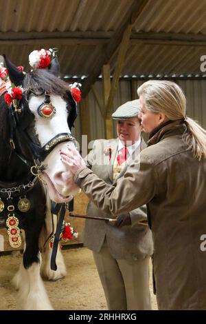 Sophie, Herzogin von Wessex, auf der Shire Horse Society National Show 2022, in ihrer Rolle als Präsidentin der Gesellschaft Stockfoto