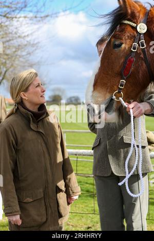 Sophie, Herzogin von Wessex, auf der Shire Horse Society National Show 2022, in ihrer Rolle als Präsidentin der Gesellschaft Stockfoto