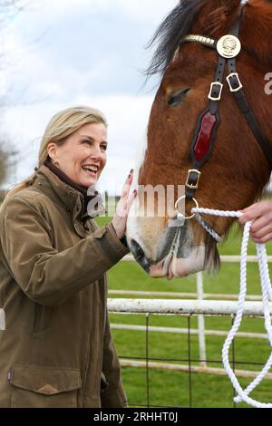 Sophie, Herzogin von Wessex, auf der Shire Horse Society National Show 2022, in ihrer Rolle als Präsidentin der Gesellschaft Stockfoto