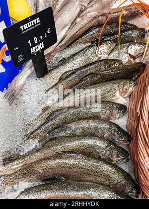 FORELLE Französisch Fischhändler TRUITE frische Forelle zum Verkauf auf Crushed Ice auf Concarneau Fischstand in Concarneau Les Halles Markt Bretagne Frankreich Stockfoto