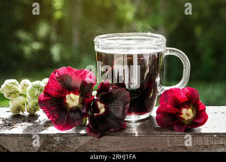 Pflanzliches medizinisches Teegetränk aus Alcea Rosea Nigra, Alcea rosea, der gemeinen Hollyhock, Alcea rosea. Glasbecher mit Tee vor Naturhintergrund. Stockfoto