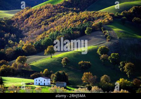 boschi e campi in autunno nel Montefeltro Stockfoto