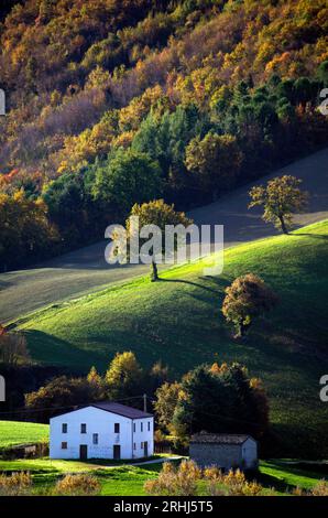 boschi e campi in autunno nel Montefeltro Stockfoto