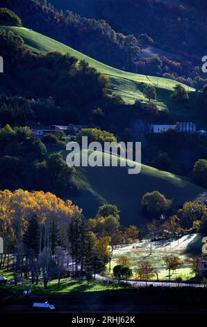 boschi e campi in autunno nel Montefeltro Stockfoto