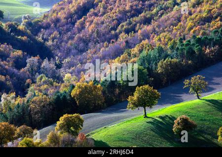 boschi e campi in autunno nel Montefeltro Stockfoto