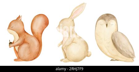 Baby-Waldtiere. Handgezeichnete Aquarellillustration von Eichhörnchen, Hase und Eule auf isoliertem Hintergrund. Zeichnung von Waldfiguren für Kinderduschen-Grußkarten oder Geburtstagseinladungen. Stockfoto