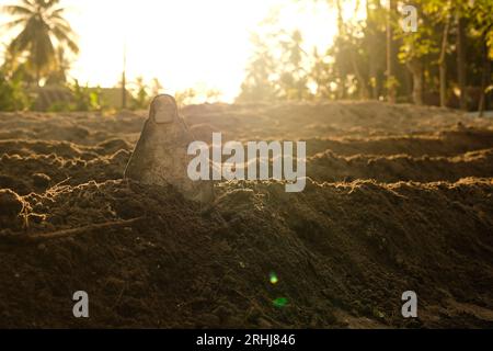 Lockerer Boden vor dem Anpflanzen von Gemüse, Landwirtschaft Stockfoto