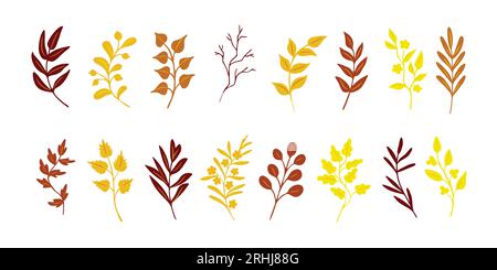 Von Hand gezeichnete helle Herbstblätter und Zweige Stock Vektor