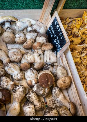CEPES PORCINI CEPS French CEPES gastronomische Pilze zum Verkauf, Concarneau Farmers Market Stand, zusammen mit Trompete Chanterelle, Yellowlegs, Cantharellus tubaeformis in rustikalen Holzkisten mit traditionellem Tafelpreisetikett Brittany Bretagne France Stockfoto
