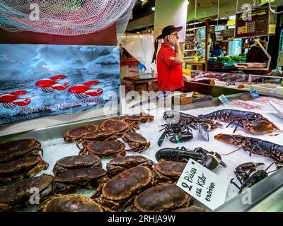 FRANZÖSISCHER HUMMER-KRABBENFISCHMARKT CONCARNEAU mit bretonischem Charakter, traditioneller Fischhändler, der einen eingehenden frischen Fang überprüft. Täglich Fischmarkthalle mit frischer Krabbe und blauem HUMMER in der Hochsaison zum Verkauf. FISCHMARKT LES HALLES CONCARNEAU Bretagne Frankreich Stockfoto