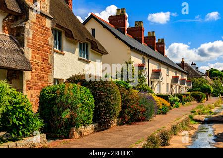Farbenfrohe Cottages und gepflegte Gärten säumen die Hauptstraße in Otterton, Devon, England, Großbritannien Stockfoto