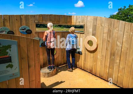 Ein neues Vogelhäuschen am Ufer des River Otter Estuary Nature Reserve in Budleigh Salterton an der Jurassic Coast, Devon, England, Großbritannien Stockfoto