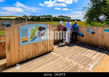 Ein neues Vogelhäuschen am Ufer des River Otter Estuary Nature Reserve in Budleigh Salterton an der Jurassic Coast, Devon, England, Großbritannien Stockfoto