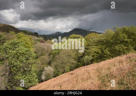 Caer Caradoc und The Lawley von oben gesehen Rectory Wood, Church Stretton, Shropshire, Großbritannien Stockfoto