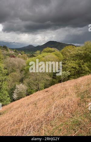 Caer Caradoc und The Lawley von oben gesehen Rectory Wood, Church Stretton, Shropshire, Großbritannien Stockfoto