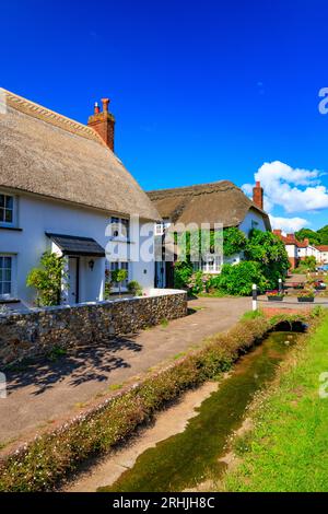 Reetgedeckte Cottages in der Hauptstraße in Otterton, Devon, England, Großbritannien Stockfoto