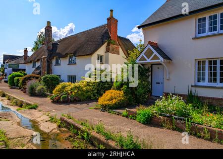 Reetdachhaus in der Hauptstraße in Otterton, Devon, England, Großbritannien Stockfoto