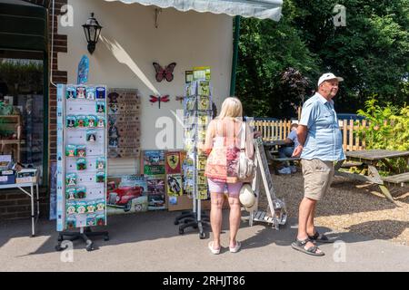 Touristen, die während der Sommerferien in Burley Village im New Forest National Park einkaufen, Hampshire, England, Großbritannien Stockfoto