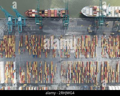 Antwerpen, 12. August 2023, Belgien. Draufsicht auf die Containerterminals im Hafen von Antwerpen aus der Luft. Stockfoto