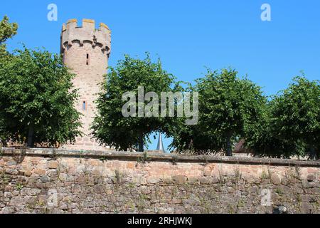 Mittelalterliche Stadtmauern in obernai im elsass (frankreich) Stockfoto