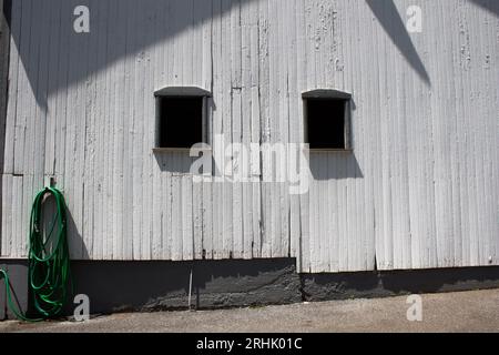 Weiße Farmwand, zwei Fenster und grüner Wasserschlauch an der Wand Stockfoto
