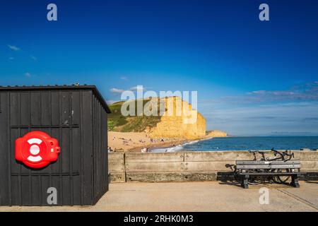 Die hoch aufragenden Klippen der West Bay an der Jurassic Coast von Dorset England mit einem roten Lebensbaum und einem schwarzen Holzdach im Vordergrund Stockfoto