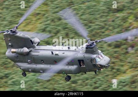 Ein RAF-Chinook-Hubschrauber, der Tiefflug im Mach Loop Area in Wales übt Stockfoto