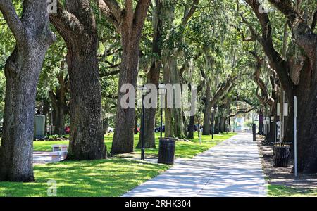 Gasse im Emmet Park - Savannah, Goergia Stockfoto
