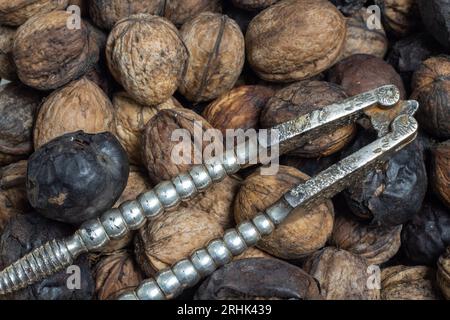 Überzug aus frischen Nüssen mit Vintage-Nussknacker Stockfoto