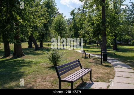 Ein Foto im Park von Chisinau Stockfoto