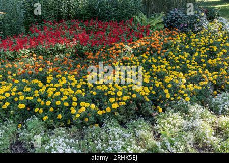 Ein Foto im Park von Chisinau Stockfoto