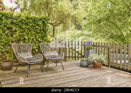 Zwei Stühle auf einer Holzterrasse im Hinterhof mit Bäumen und Pflanzen, die um sie herum wachsen, um einen Außenbereich zu schaffen Stockfoto