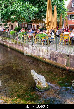 Freiburg im Breisgau - 6. Juli 2023: Eine Krokodilkopfskulptur blickt aus einem Wasserkanal in der Altstadt Stockfoto